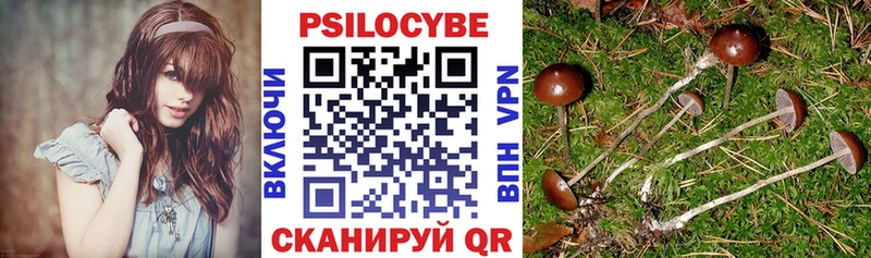 продажа наркотиков Калач-на-Дону Псилоцибиновые грибы прущие грибы
